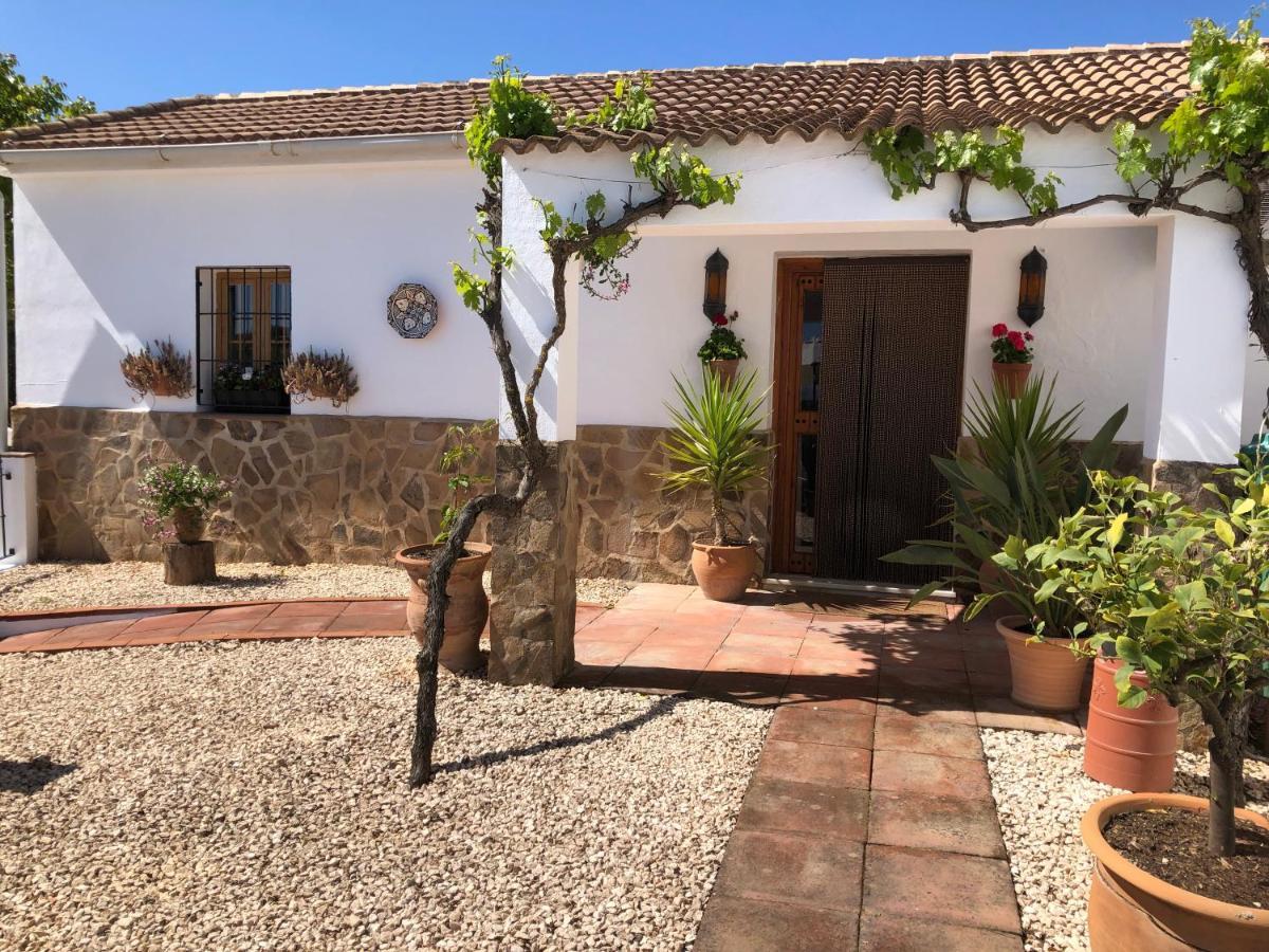 Casa La Alegria 37 Bed & Breakfast Villanueva de Tapia Ngoại thất bức ảnh
